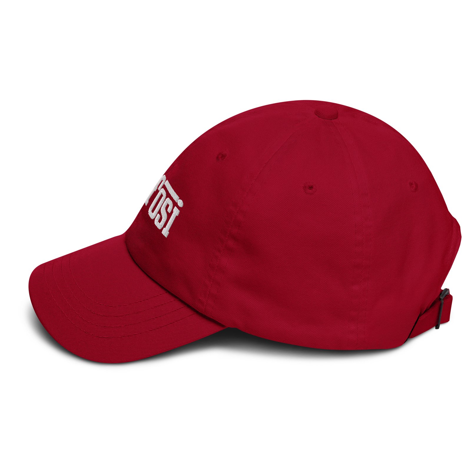 lecfosi dad hat - Image 3