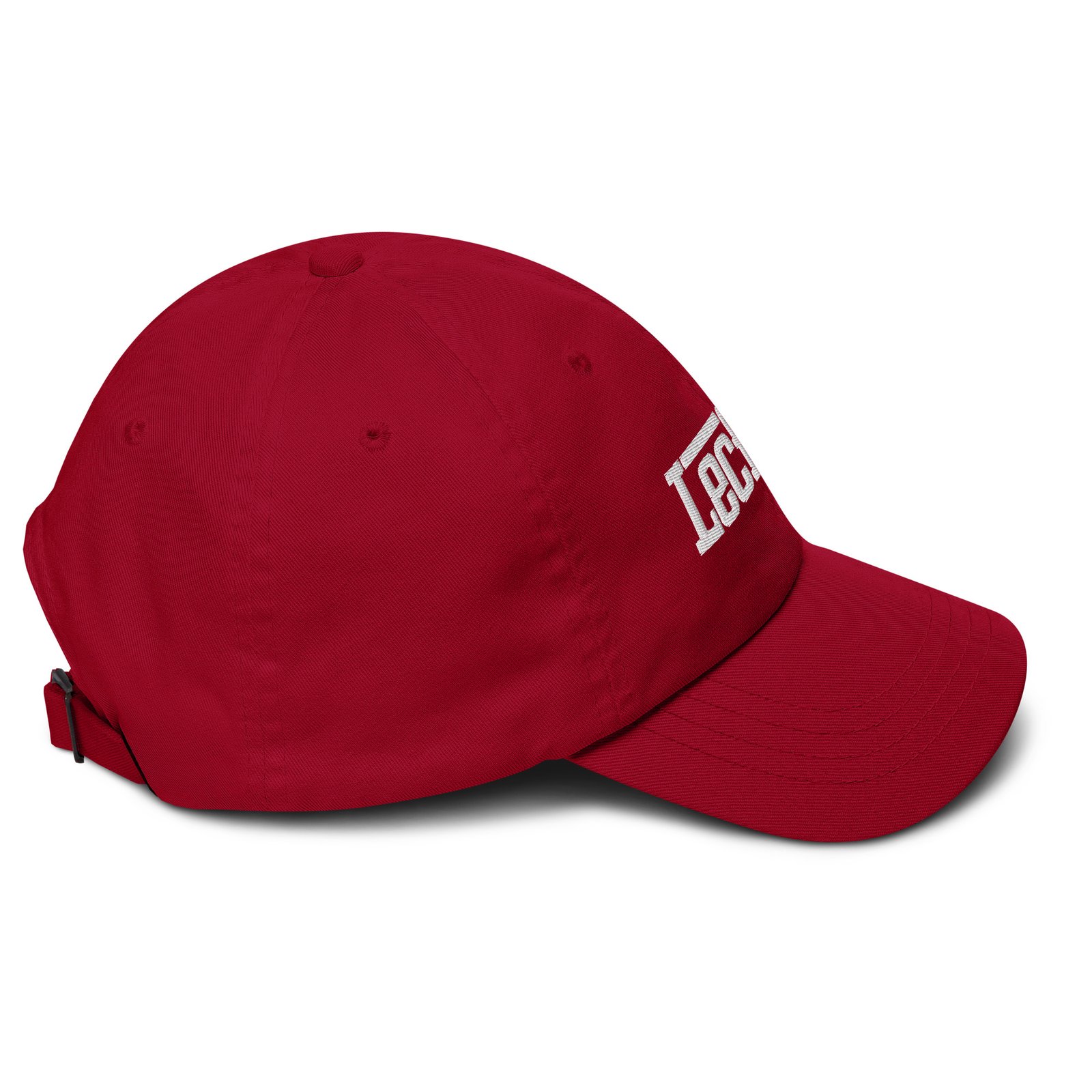 lecfosi dad hat - Image 2